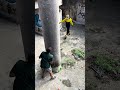 ESCONDEU DO PALHAÇO