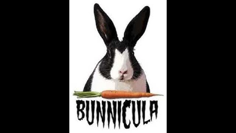 Bunnicula