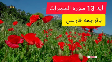 آیه ۱۳ سوره الحجرات Aya 13 Surah Alhujarat