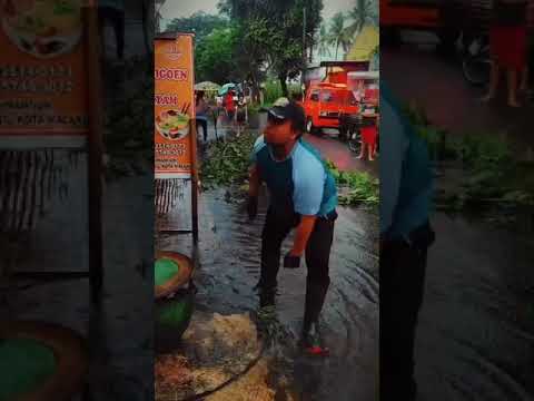 POHON TUMBANG DI WILAYAH KELURAHAN ARJOWINANGUN KECAMATAN KEDUNGKANDANG KOTA MALANG