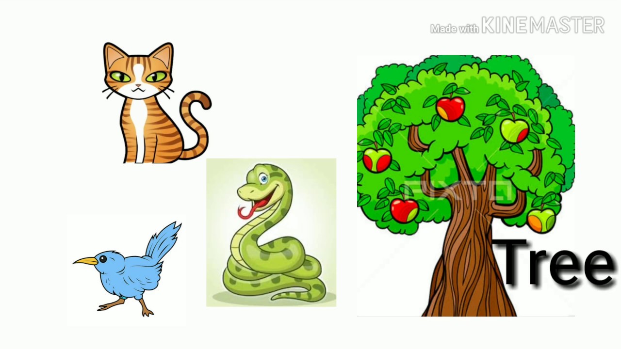 animals worksheet science worksheetactivity sheet for grade 1 youtube