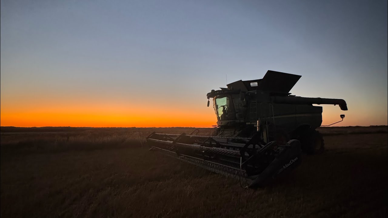 2025 saskatchewan harvest-BEST CROP IN YEARS