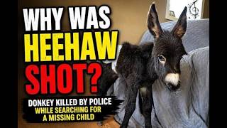 Polizei tötet Eselbaby aus Sicherheitsgründen – Polizei weigert sich, Drohnen- und Körperkameraau...