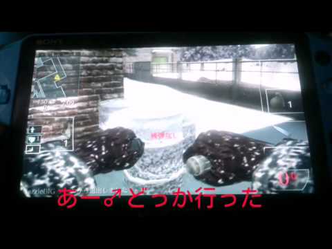 Codかくれんぼ