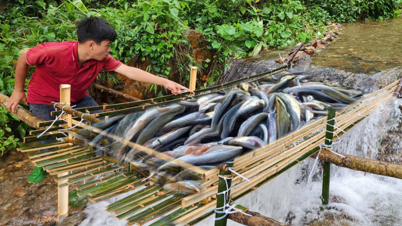 31-day journey of making fish traps in the wild. And the boy caught a lot of fish to sell.