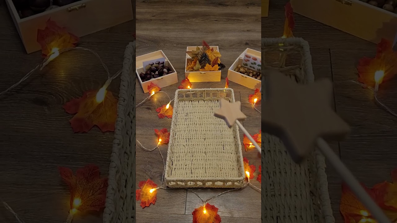 DIY Aktionstablett...Sortierspiel im Herbst # Kindertagespflege 🍁