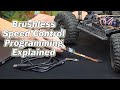 Tips & Tricks On How To Program Your Brushless Speed Control - Holmes Hobbies RC Basics Series