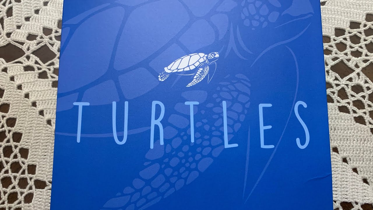 British Indian Ocean Territory 50 Pence Turtle Coin Set