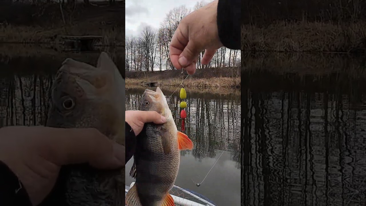 ✅👍🔥НУ ЦЕ ВІН