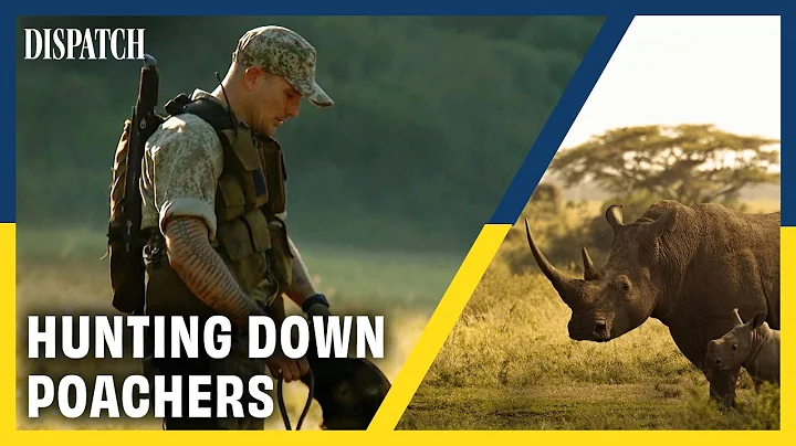 Hunting the Hunters: The Bloody War to Save South Africa’s Rhinos | DISPATCH | HD Documentary