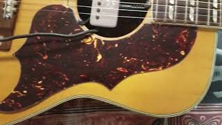 YAMAHA Hummingbird ish guitar