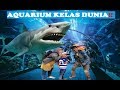 AQUARIUM KELAS DUNIA, JAKARTA AQUARIUM!!!