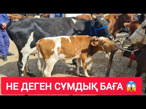 Егде жастағы әйелдердің жыныстық қатынасқа түсуі туралы бейнелерді қараңыз
