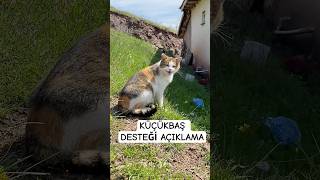 Küçükbaş Desteği Hakkın Da Bilgiöyhayatı Ği Öy