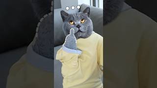 Gosh!🙀 I Totally Fell For A Crazy Iron Prank!⚡ #Funnycat #Catmemes #Trending