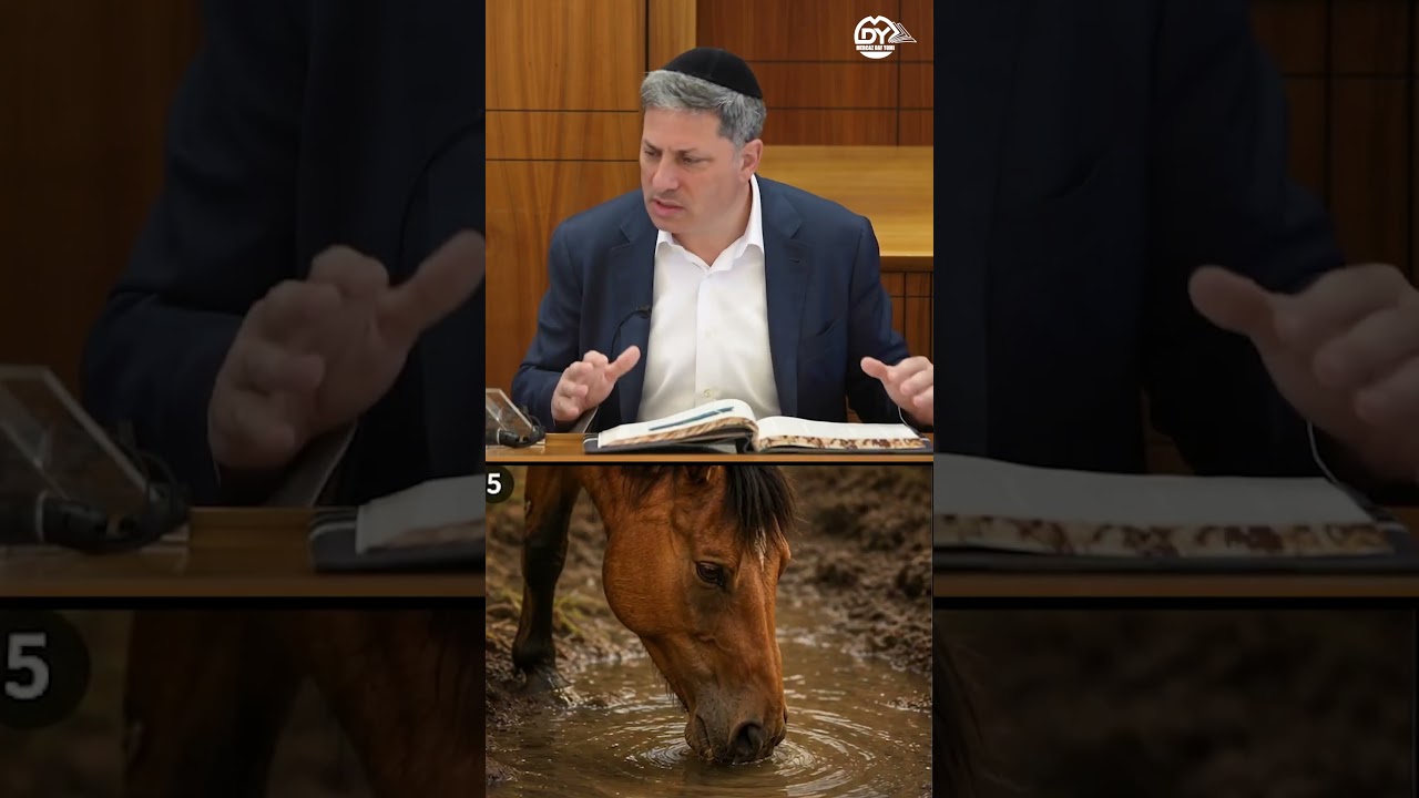 Stop Muddying Your Own Water 🐴💦