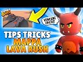 STUMBLE GUYS TIPS and TRICK: VINCERE FACILE LAVA RUSH + VITTORIA EPICA