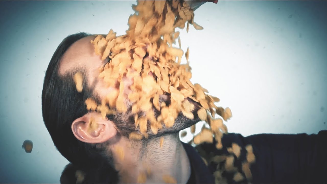 Stubborn Trees - Entering The Fray (Clip)