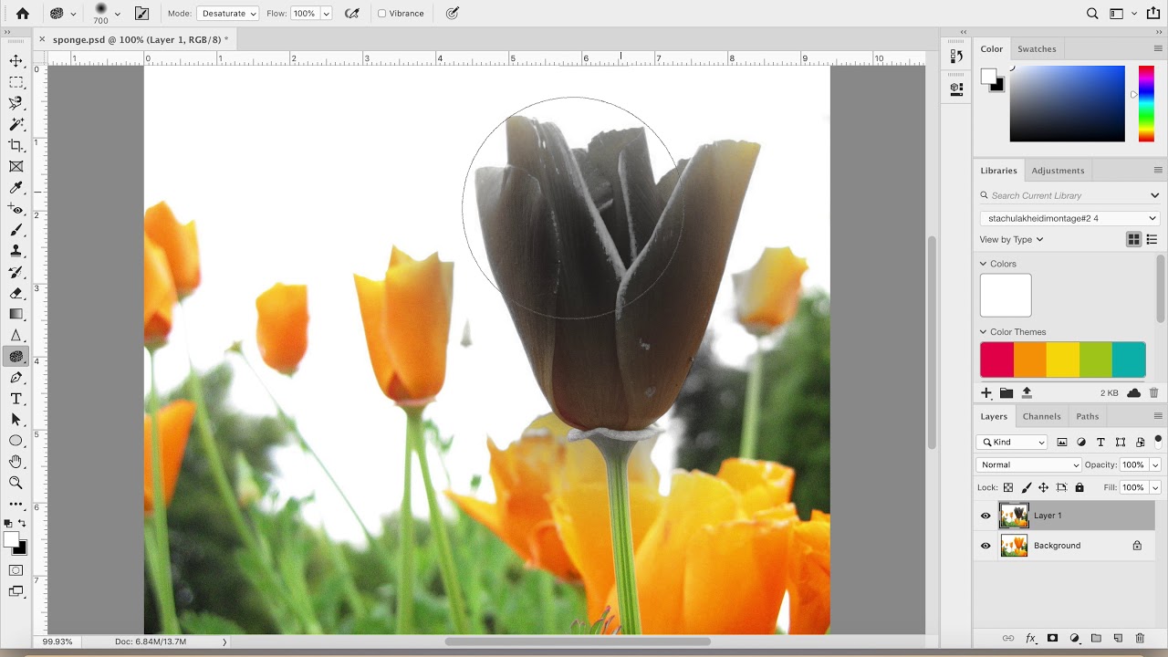 How To Use the Sponge Tool in with Voiceovers YouTube