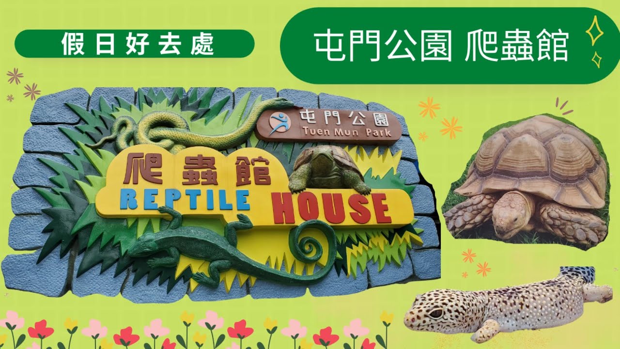 【假日好去處】屯門公園爬蟲館 爬蟲類動物出沒注意⚠️⚠️ Tuen Mun Park The Reptile House 盾臂龜