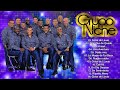 Grupo niche xitos mix  las 30 mejores canciones de grupo niche  viejitas salsa romantica 2022