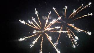 2 49 shot ***PALOLO 2011 NEW YEARS***