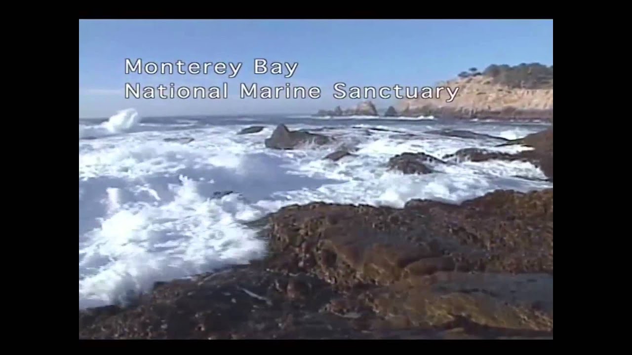 Dive in Your National Marine Sanctuaries broadcasting definition