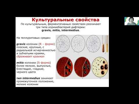 С. А. Лисовская. Возбудитель дифтерии. Специальность - медицинская биофизика.