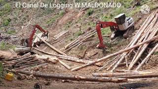 shovel logging in oregon