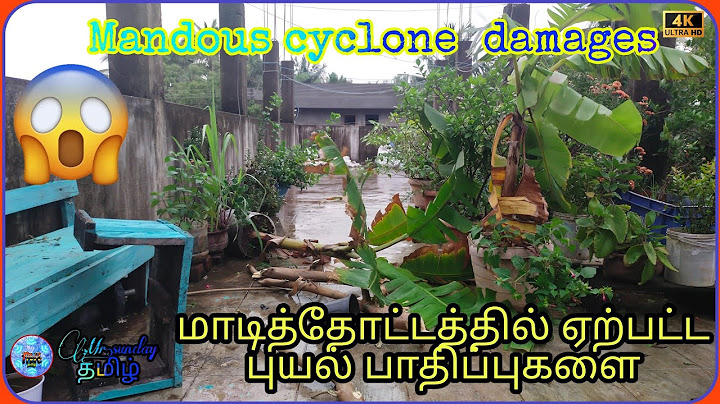Mandous cyclone 🌀 damages 😱😱 in our terrace garden/மாடித்தோட்டத்தில் ஏற்பட்ட புயல் பாதிப்புகளை 😱🙀