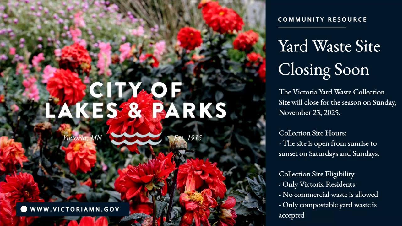 Senior Advisory Committee - Nov 03 2025