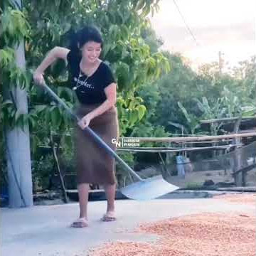 STORY WA INDONESIA GAK BUTUH WONG AYU VIRAL