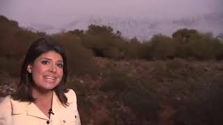 Inside the world's largest bat colony at Bracken Cave Preserve in Texas