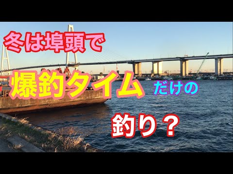 冬は埠頭で爆釣タイムだけの釣り？名古屋港