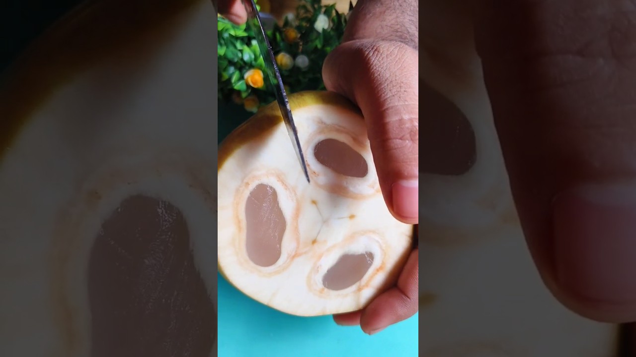 Tal Sas| Palm Fruit| Amazing Fersh Palm Fruit Cutting ||