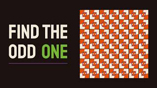 Can You Spot the Odd One Out | 12 Visual Puzzles - Challenge 015