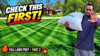 Don't Overseed Yet!!