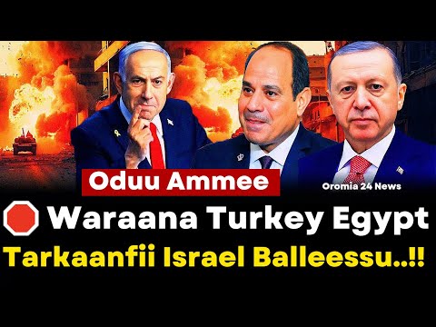 Oduu Ammee Waraana Turkey Egypt Tarkaanfii Israel Balleessu