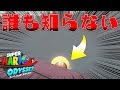100%バレない場所見つけてしまったわww【マリオオデッセイ】