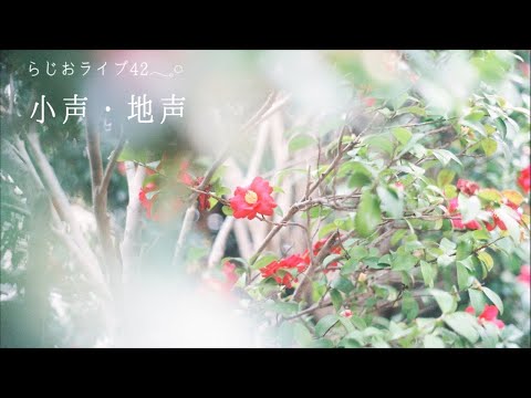 らじおライブ配信42 𓂃✿ 誰でもいらっしゃいませ＾＾小声/地声/睡眠導入