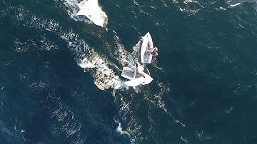 Ullman Sails One Design-- CFJ