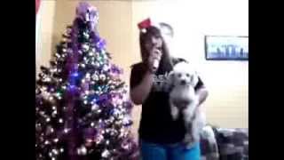 When Christmas Come To Town My Cover