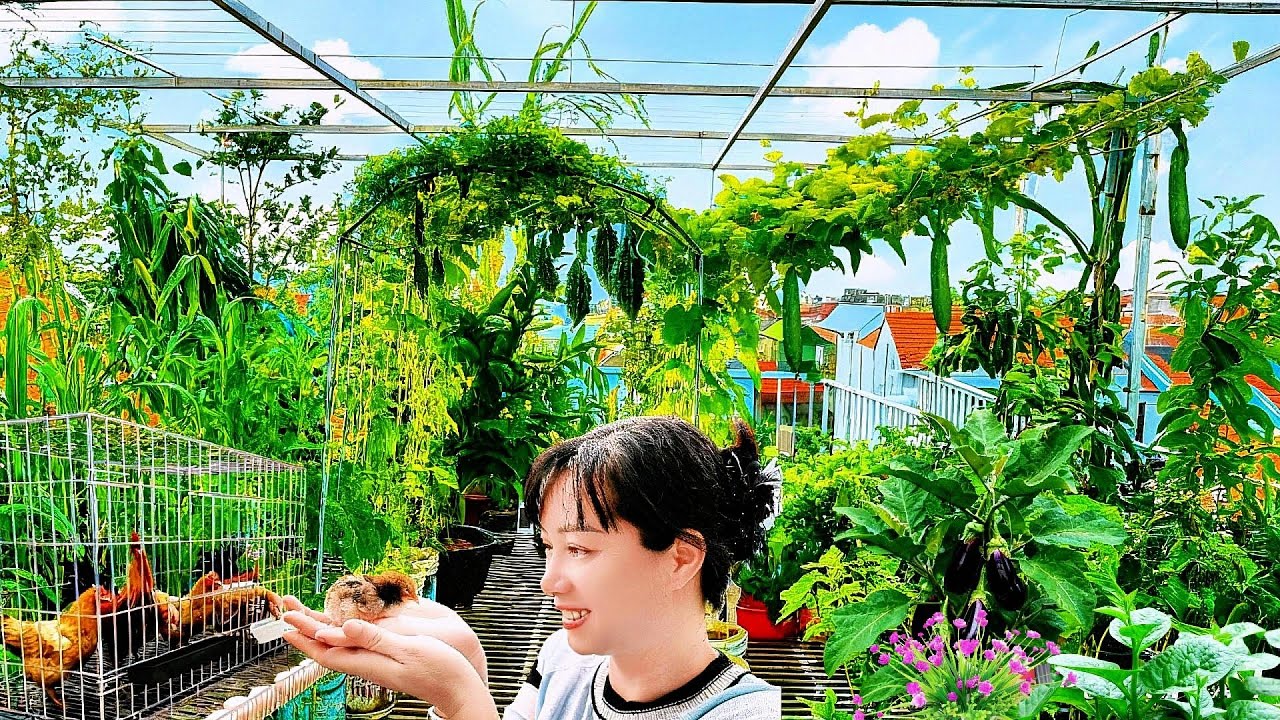 My Urban Homestead: A Journey Toward Self-Sufficiency