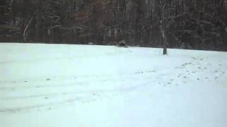 Snowmobile.AVI