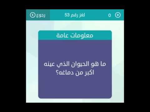 ماهو الحيوان الذي عينه اكبر من دماغه كلمات متقاطعه وصلة Youtube