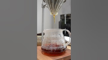 Pour Over Coffee #asmr #specialitycoffee