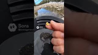 finding gold in the pan! #pov #goldpanning #ai #gold #shiny