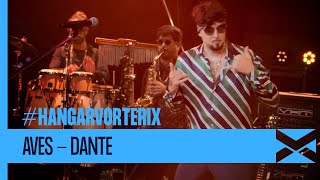 Aves - @Dante Spinetta en vivo en el #HangarVorterix