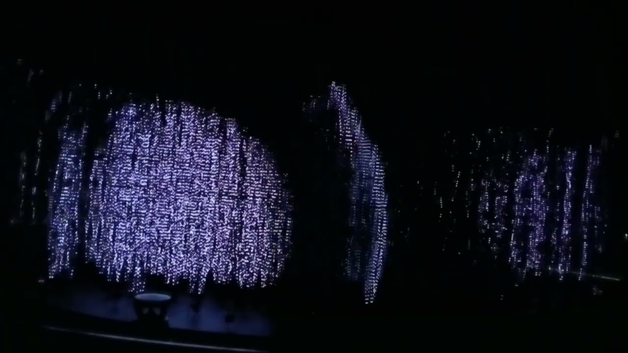 万博 いのち動的平衡館 フル