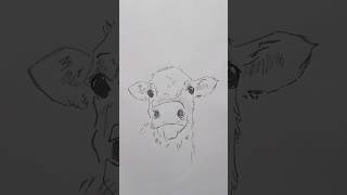 [D-57] Cute Cow Pencil drawing | Animal Drawing Shorts